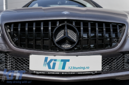 Kühlergrill für Mercedes SLK-Klasse R172 11-15 Unterer GTR Panamericana Look-image-6074015